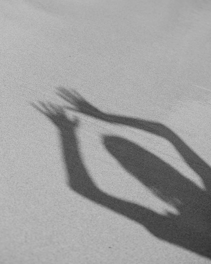 Maxime Cardol